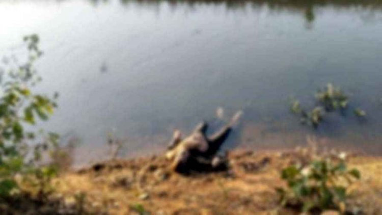 नहर में मिला दो दिनों से लापता बुजुर्ग का शव, इलाके में फैली सनसनी, हत्या या आत्महत्या जांच में जुटी पुलिस, पोस्टमार्टम रिपोर्ट का इन्तेजार