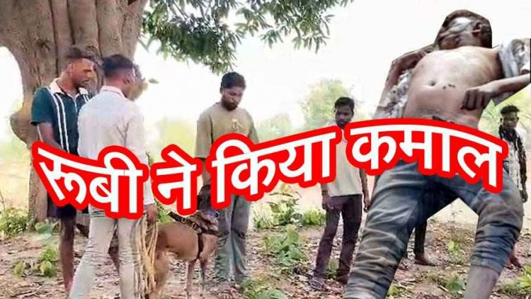 जंगल में मिली 17 वर्षीय युवक की लाश, शरीर पर मिले चोट के निशान, हत्या की आशंका, इलाके में मचा हड़कंप, रुबी की मदद से पुलिस की हिरासत में दो संदेही
