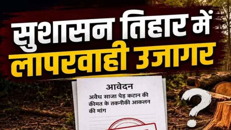 सुशासन तिहार में वन विभाग की बड़ी लापरवाही। पेड़ों की कीमत बताने की बजाय आवेदन ही किया खारिज, ग्रामीण- रवैया बेहद निराशाजनक, उठ रहे सवाल