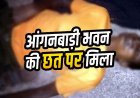 आंगनबाड़ी भवन की छत पर मिला युवक का शव, संदिग्ध मौत से गांव में दहशत का माहौल, जांच में जुटी अर्जुनी पुलिस, पोस्टमार्टम रिपोर्ट का इन्तेजार