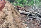 प्रधानमंत्री ग्राम सड़क योजना के नाम पर जंगलों पर चल रहा बुलडोजर, वन विभाग की चुप्पी तरह-तरह की आशंकाओं को दे रही जन्म, लोगों में आक्रोश
