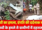 दल से भटके हाथी ने मचाया आतंक, जंगल गए दंपती पर दंतैल ने किया हमला, पति-पत्नी को कुचलकर उतारा मौत के घाट, इलाके में दहशत का माहौल