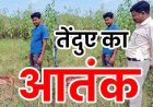 बहेराबुड़ा में तेंदुए का आतंक, आधी रात घर के बाड़े से बछड़े को उठाकर बनाया शिकार, इलाके में दहशत का माहौल, वन विभाग ने जारी किया एलर्ट