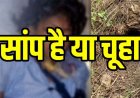 चूहे के बिल से निकले सांप ने घर में सोने के दौरान डसा, परिवार ने समझा कीड़ा काटा, 11 वर्षीय मासूम बच्ची की इलाज के दौरान मौत, परिवार में पसरा मातम