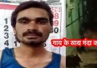गाय के साथ अप्राकृतिक कृत्य, वीडियो वायरल, इलाके में तनाव और आक्रोश का माहौल, पुलिस ने आरोपी उपेन्द्र गिरफ्तार कर भेजा जेल