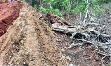 प्रधानमंत्री ग्राम सड़क योजना के नाम पर जंगलों पर चल रहा बुलडोजर, वन विभाग की चुप्पी तरह-तरह की आशंकाओं को दे रही जन्म, लोगों में आक्रोश