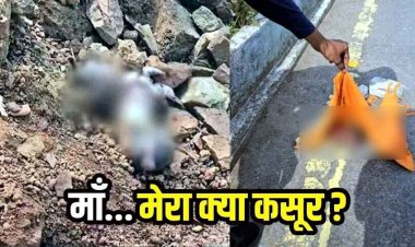 रिवर व्यू इलाके और रावाभाठा में मिला भ्रूण, नवजात का दो जगह शव मिलने से फैली सनसनी, जांच में जुटी पुलिस, नाजायज संबंध का खौफनाक अंजाम!