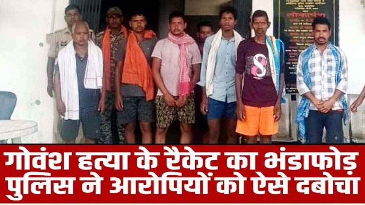 छत्तीसगढ़ में गौ हत्या के 7 आरोपी गिरफ्तार, गौवंश की जान लेकर करते थे ऐसा काम, जानकर पुलिस के भी उड़े होश, सात आरोपियों को भेजा जेल