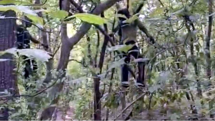 गरियाबंद के जंगल में पेड़ पर लटका मिला अज्ञात युवक का शव, इलाके में फैली सनसनी, आत्महत्या या कुछ और? जांच में जुटी पुलिस