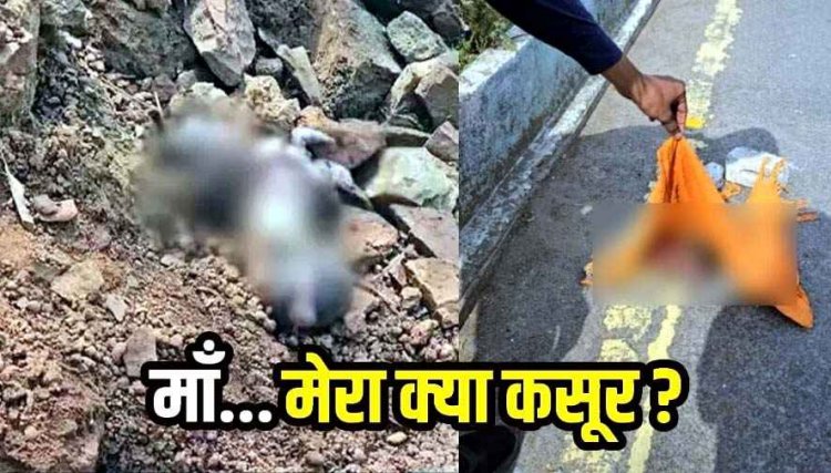 रिवर व्यू इलाके और रावाभाठा में मिला भ्रूण, नवजात का दो जगह शव मिलने से फैली सनसनी, जांच में जुटी पुलिस, नाजायज संबंध का खौफनाक अंजाम!