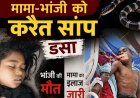 सोते समय मामा-भांजी को करैत सांप ने डसा, 10 वर्षीय मासूम बच्ची की मौत, मामा ICU भर्ती, मामा भांजी की हालत नाजुक, गांव में शोक की लहर