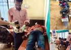 NH-130C पर दर्दनाक सड़क हादसा: पुल से टकराई तेज रफ़्तार पल्सर बाइक, तीन युवक घायल; दो की हालत नाजुक, दोनों रेफर, इलाज जारी