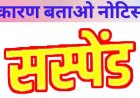 सुशासन तिहार की शिकायत पड़ी भारी, लापरवाही पर पटवारी निलंबित, जनपद पंचायत का कर्मचारी सस्पेंड, 8 तहसीलदारों को नोटिस जारी