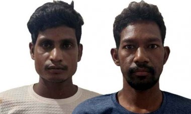 हाथियों को पत्थर मारने और पटाखे फोड़ने वालों पर एक्शन, सोशल मीडिया पर वीडियो वायरल, जांच के बाद दो आरोपी गिरफ्तार, वन विभाग ने दी चेतावनी