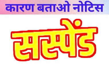 सुशासन तिहार की शिकायत पड़ी भारी, लापरवाही पर पटवारी निलंबित, जनपद पंचायत का कर्मचारी सस्पेंड, 8 तहसीलदारों को नोटिस जारी