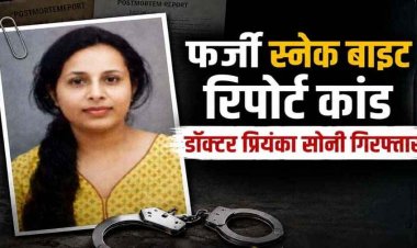 स्नेक बाइट से मौत!, महिला डॉक्टर प्रियंका सोनी गिरफ्तार, फर्जी पोस्टमार्टम रिपोर्ट से मुआवजा दिलाने का आरोप, जांच के घेरे में कई डॉक्टर, मुख्य आरोपी फरार