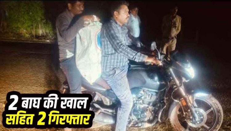 अंतर्राज्यीय वन्यजीव तस्करी गिरोह का बड़ा खुलासा, 2 बाघों की खाल के साथ दो तस्कर गिरफ्तार, बाघ खाल की तस्करी नाकाम, एक का पंजा गायब