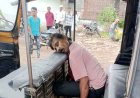 शराब दुकान के पास चाकू से गोदकर ऑटो ड्राइवर को उतारा मौत के घाट, इलाके में फैली सनसनी, आरोपी फरार, तलाश में जुटी पुलिस, नशा बनी वजह?