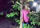 बाबा कुटी के जंगल में पेड़ से लटकी मिली अज्ञात युवती की लाश, फैली सनसनी, इलाके में तरह-तरह की चर्चाएं, जांच में जुटी फिंगेश्वर पुलिस