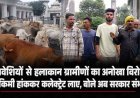 छत्तीसगढ़ आवारा मवेशी समस्या, 13 किमी 110 मवेशियों को हांककर कलेक्ट्रेट पहुंचे ग्रामीण, बोले- अब कलेक्टर साहब ही संभालें, नगर निगम पर लगा बड़ा आरोप