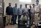गरियाबंद में वन्यजीव तस्करी के खिलाफ कसा शिकंजा, छापेमारी में सेफ हाउस में छिपाकर रखा जिंदा पैंगोलिन बरामद, तीन अंतरराज्यीय तस्कर गिरफ्तार