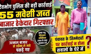 गरियाबंद जिला में गौ तस्करी, 55 मवेशियों को किया गया बरामद, तस्करी के मामले में बाजार ठेकेदार गिरफ्तार, 1 आरोपी फरार, पंचायत की भूमिका पर उठे सवाल