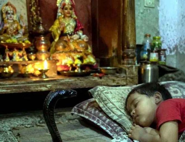 पूजा घर में दादी और बहन के साथ सो रहे 3 साल का मासूम को जहरीले करैत ने डसा, अस्पताल पहुंचने से पहले टूट गई सांस, लाठी-डंडे लेकर सांप की तलाश शुरू