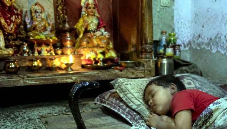 पूजा घर में दादी और बहन के साथ सो रहे 3 साल का मासूम को जहरीले करैत ने डसा, अस्पताल पहुंचने से पहले टूट गई सांस, लाठी-डंडे लेकर सांप की तलाश शुरू
