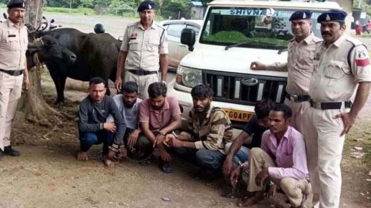 अवैध मवेशी परिवहन पर दुर्ग पुलिस का शिकंजा, मवेशियों से भरी पिकअप पकड़ी, 6 आरोपी गिरफ्तार, हिरासत में 2 नाबालिग, बाइक समेत तीन वाहन जप्त