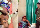 खेत की तरफ जा रहे ग्रामीण के सामने अचानक सामने आई मादा भालू, हमला कर किया घायल, इलाके में दहशत का माहौल, क्षेत्र में निगरानी बढ़ाने की मांग 