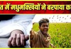 मधुमक्खियों के जानलेवा हमले से बचने भागा युवक, खेत के पानी में डूबा मिला बेटी के घर मदद करने आए किसान का शव, परिजनों का रो-रोकर बुरा हाल
