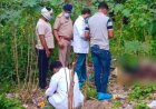 पुराने बस डिपो में पत्थर से कुचलकर 16 वर्षीय छात्र की हत्या, इलाके में फैली सनसनी, FSL टीम ने जुटाए सबूत, पुलिस की हिरासत में तीन आरोपी, जांच जारी