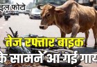 तेज रफ्तार बाइक के सामने आ गई गाय, बचाने की कोशिश में फेंसिंग से टकराई बाइक, दो की दर्दनाक मौत, 2 घयल, एक की हालत नाजुक, इलाज जारी