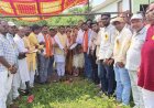 सिद्धेश्वर राज मिस्त्री संघ छुईहा ने धूमधाम से मनाई विश्वकर्मा जयंती, गरीब के घर से लेकर देश के निर्माण तक विश्वकर्मा समाज की अहम भूमिका : रोहित साहू