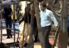 10 हजार बिल देखकर भड़की युवती, नशे में धुत लड़की ने बार में मचाया भारी बवाल, महिला कर्मचारी को पीटा, वॉशरूम का शीशा तोड़ा, बिना पेमेंट किए फरार