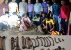 वन्यजीव तस्करी के खिलाफ बड़ी कार्रवाई, 43 हड्डियां, दो कैनाइन और नवजात समेत बाघ के अवशेष बरामद, तीन बाइक जप्त, हिरासत में छह संदिग्ध