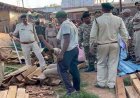सरपंच के घर वन विभाग की छापेमारी, 95 हजार रुपए का सागौन चिरान जब्त, गांव में मचा हड़कंप, मुखबिर की सूचना पर कार्रवाई, जांच जारी