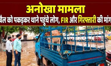 धमतरी थाने पहुंचा पूरा मोहल्ला, ‘साहब बैल के खिलाफ ही FIR कर दीजिए’… लोगों की अनोखी फरियाद से पुलिस भी रह गई हैरान, गिरफ्तारी की उठ रही मांग
