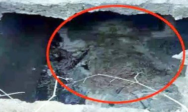 लिव-इन रिलेशनशिप में रह रही 33 वर्षीय महिला का मर्डर, सेप्टिक टैंक में छिपाई लाश, सड़ा-गला शव बरामद, आरोपी मनोज फरार, तलाश में जुटी पुलिस
