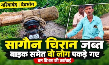 सागौन चिरान का अवैध परिवहन करते गश्त के दौरान पकड़े गए दो लोग, दस्तावेज नहीं दिखा सके तो बाइक समेत लकड़ी जब्त, वन विभाग ने की कार्रवाई