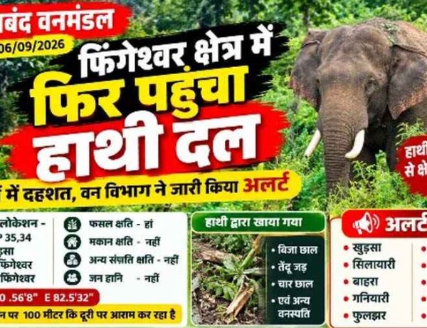 फिंगेश्वर क्षेत्र में फिर पहुंचा हाथी दल, आसपास के गांवों में बढ़ाई गई सतर्कता, ग्रामीणों में दहशत का माहौल. वन विभाग ने जारी किया अलर्ट