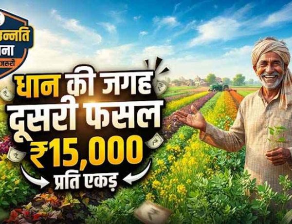 धान छोड़ दूसरी फसल लगाने वाले किसानों के लिए बड़ी खबर, कृषक उन्नति योजना में मिलेगा प्रति एकड़ 15 हजार रुपए तक का फायदा, रजिस्ट्रेशन जरुरी
