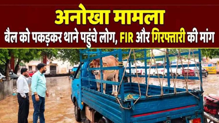 धमतरी थाने पहुंचा पूरा मोहल्ला, ‘साहब बैल के खिलाफ ही FIR कर दीजिए’… लोगों की अनोखी फरियाद से पुलिस भी रह गई हैरान, गिरफ्तारी की उठ रही मांग