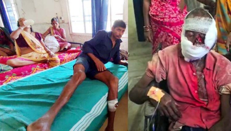 गरियाबंद में भालुओं का आतंक, एक ही दिन में दो जगह हमले, चार भालुओं ने 2 ग्रामीणों को किया गंभीर घायल, 1 रायपुर रेफर, इलाकों में दहशत का माहौल