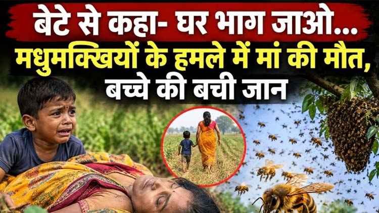 खेत में काम कर रही महिला पर मधुमक्खियों के हमला, तीन घंटे बाद तोडा दम, मरने से पहले 6 साल के बेटे की मां ने बचाई जान, गांव में शोक का माहौल