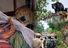 तेंदुआ और भालू का तीन साल बाद फिर आतंक: घर में सो रही महिला पर तेंदुए ने किया हमला, ग्रामीणों ने की मदद पूरे गांव में दहशत का माहौल, सुरक्षा की मांग