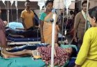 रतनजोत के बीज खाने से 7 बच्चों की बिगड़ी तबीयत, अस्पताल में भर्ती, परिजनों ने लगाया लापरवाही का आरोप, स्कूल की सुरक्षा व्यवस्था पर उठे सवाल