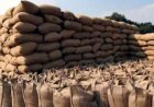 छत्तीसगढ़ में धान पर गर्माई राजनीति, किसान संघ ने उठाया 1,700 करोड़ के चौथे किस्त के बोनस का मुद्दा, मुख्यमंत्री साय को लिखा पत्र, आंदोलन की चेतावनी