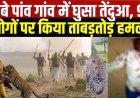 धमतरी के नगरी-सिहावा में तेंदुए का आतंक, 9 लोगों को घायल करने के बाद ग्रामीण तेजलाल यादव पर जानलेवा हमला, ग्रामीणों में दहशत का माहौल