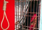 दिव्यांग महिला ने फांसी लगाकर दी जान, चाय पीने उठाने गई पोती, कमरे में फांसी पर लटका मिला शव, कारण अज्ञात. इलाके में फैली सनसनी